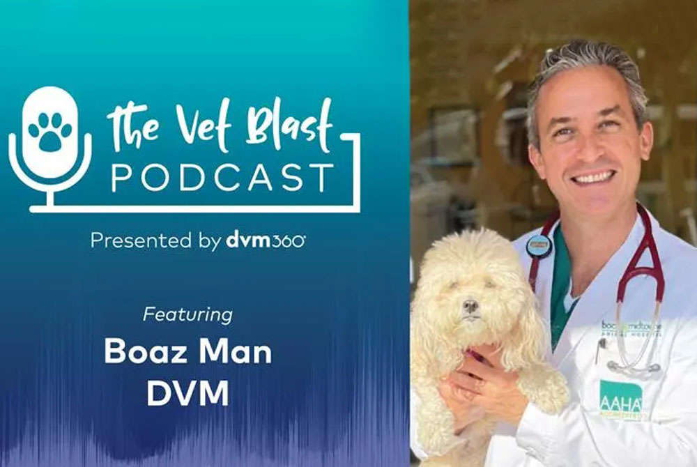 Adam Christman from DVM 360 discussing BOAS with Boca Midtowne Animal Hospital on the Vetblast Podcast