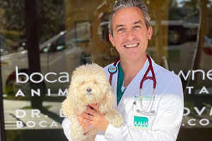 Pet care blog post featured image for Boca Midtowne Animal Hospital