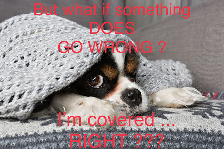 Pet health insurance paperwork and stethoscope — veterinary care coverage options for dogs and cats