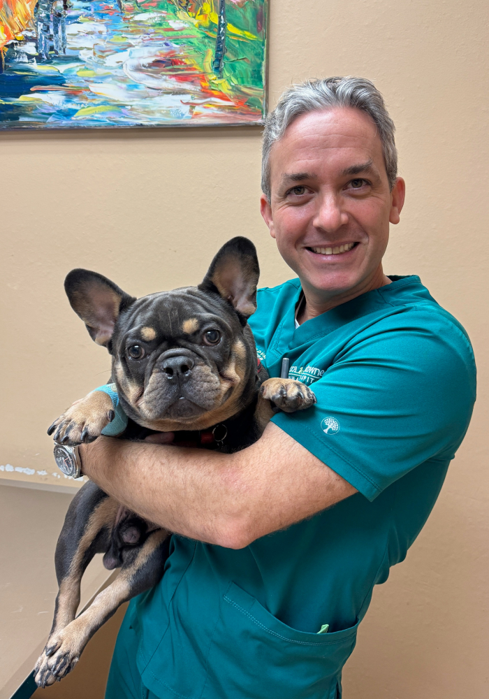 Healthy pet enjoying a routine checkup at Boca Midtowne Animal Hospital
