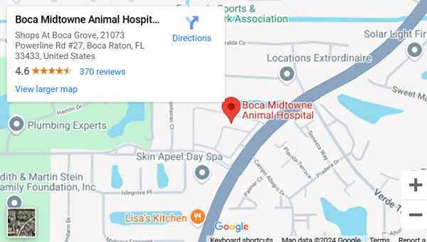 Map showing the location of Boca Midtowne Animal Hospital in Boca Raton, FL