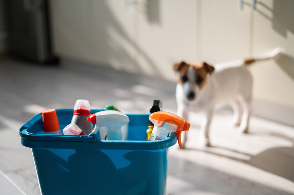 Blue bucket with bottles of cleaning detergent, representing pet-safe sanitation and clinic hygiene practices