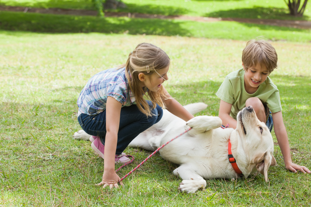 Two kids playing with their pet dog at home — safe child and pet interaction tips