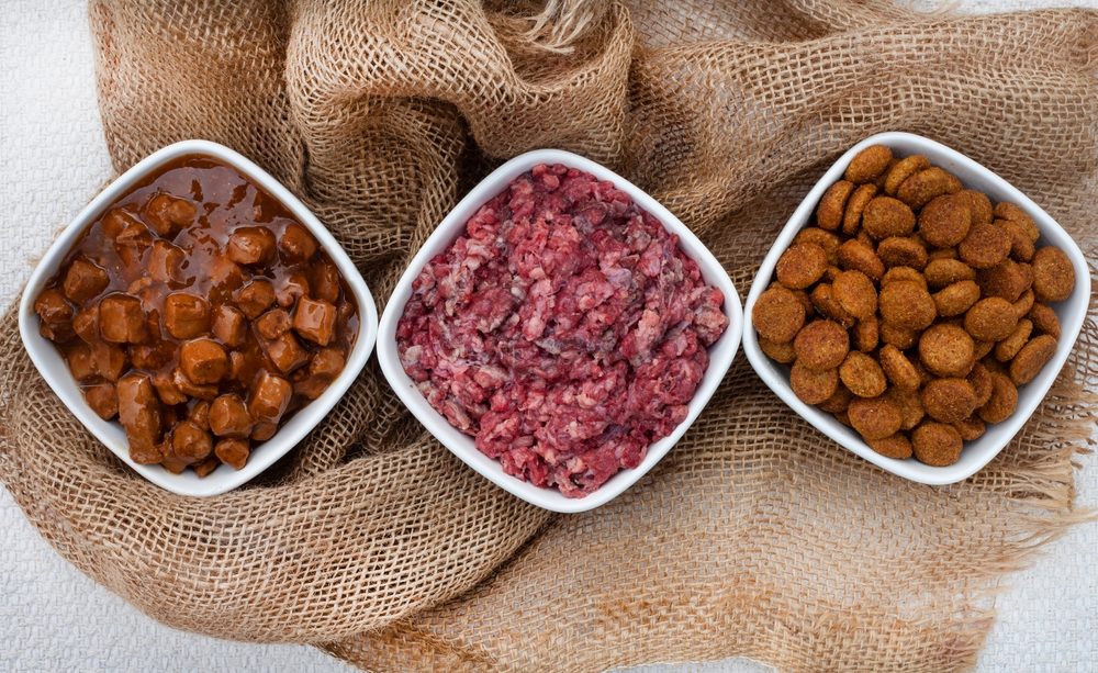 Selection of dog food options including raw meat, minced chunks, and chunks in gravy for pet nutrition