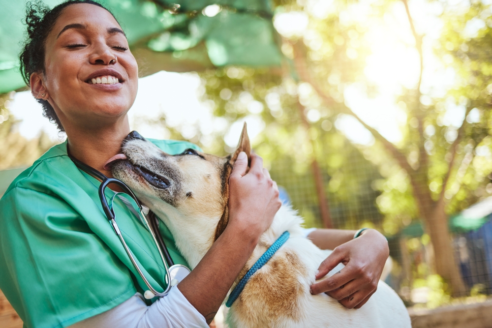 Happy veterinarian and vet nurse with a dog outdoors in nature during a pet care visit