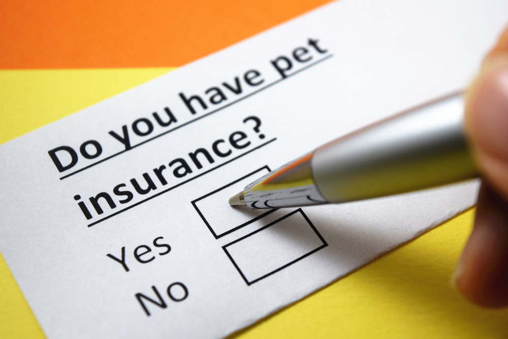 Pet insurance concept illustration supporting veterinary care affordability for pet owners