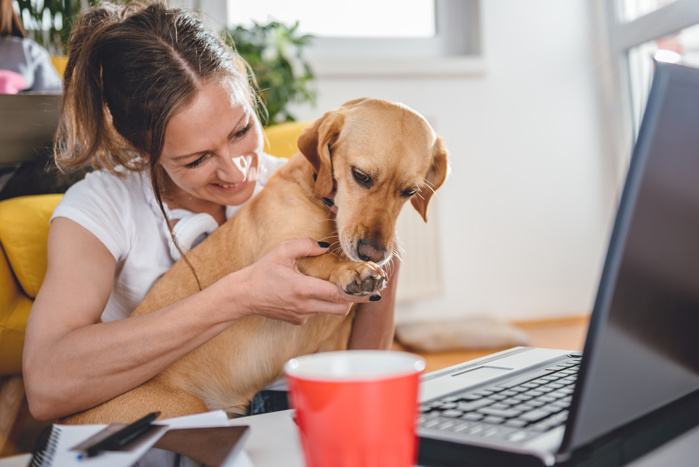Woman smiling and embracing her dog while sitting on the floor during a veterinary visit