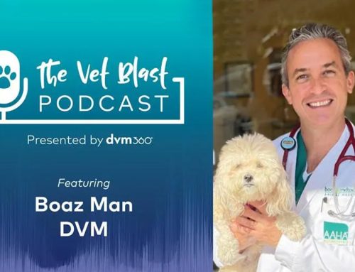 Dr. Boaz Man & Dr. Adam Christman from DVM 360 discuss BOAS on the Vetblast Podcast